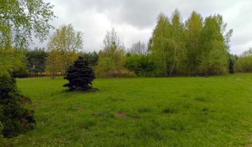 Działka rolna Smogorzewo Pańskie