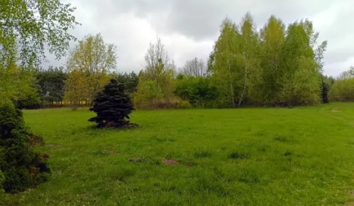 Działka rolna Smogorzewo Pańskie