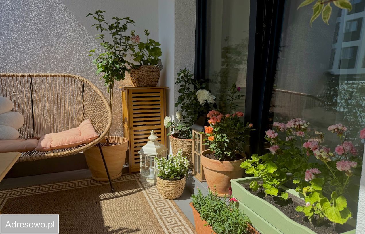 Mieszkanie 2-pokojowe Warszawa Odolany, ul. Jana Kazimierza. Zdjęcie 7