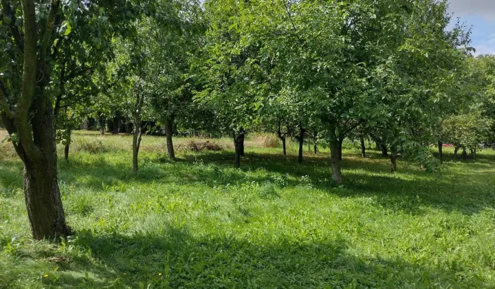 Działka inwestycyjna Cianowice