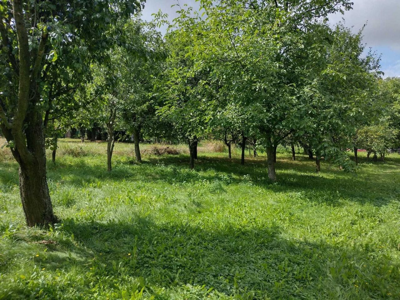 Działka inwestycyjna Cianowice. Zdjęcie 1