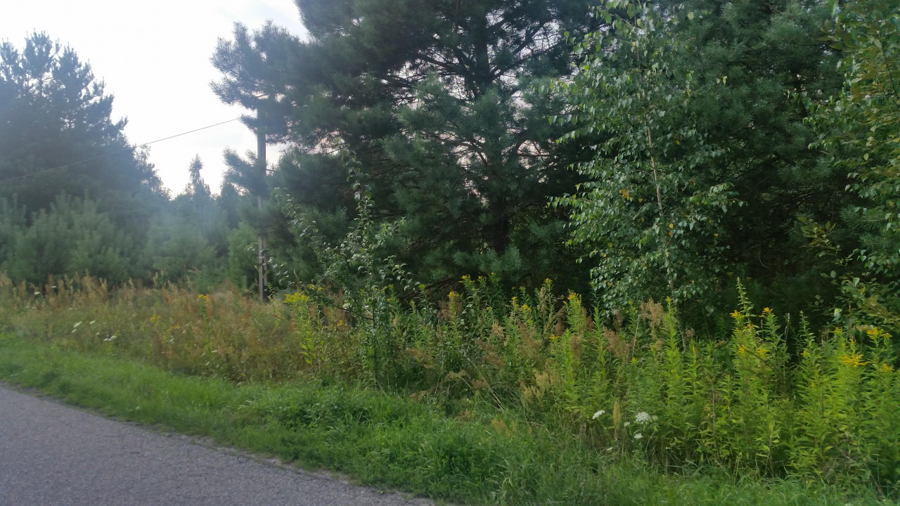 Działka rolna Grabina. Zdjęcie 3