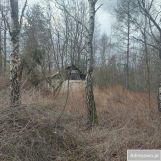 Działka leśna Piasek Wielki. Zdjęcie 1