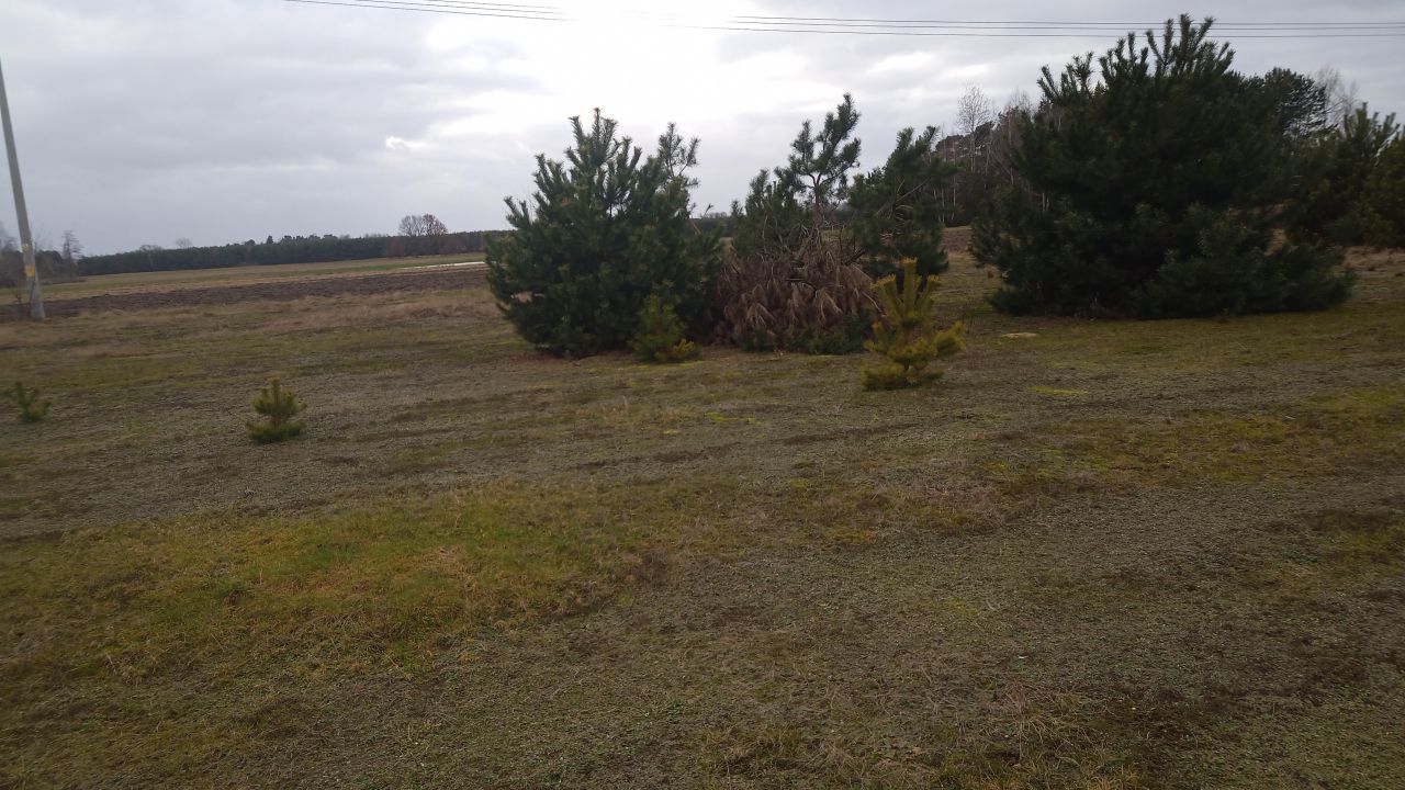 Działka rolno-budowlana Borówek. Zdjęcie 9