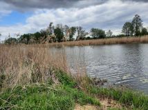 Działka rolna Kiełpin. Zdjęcie 3