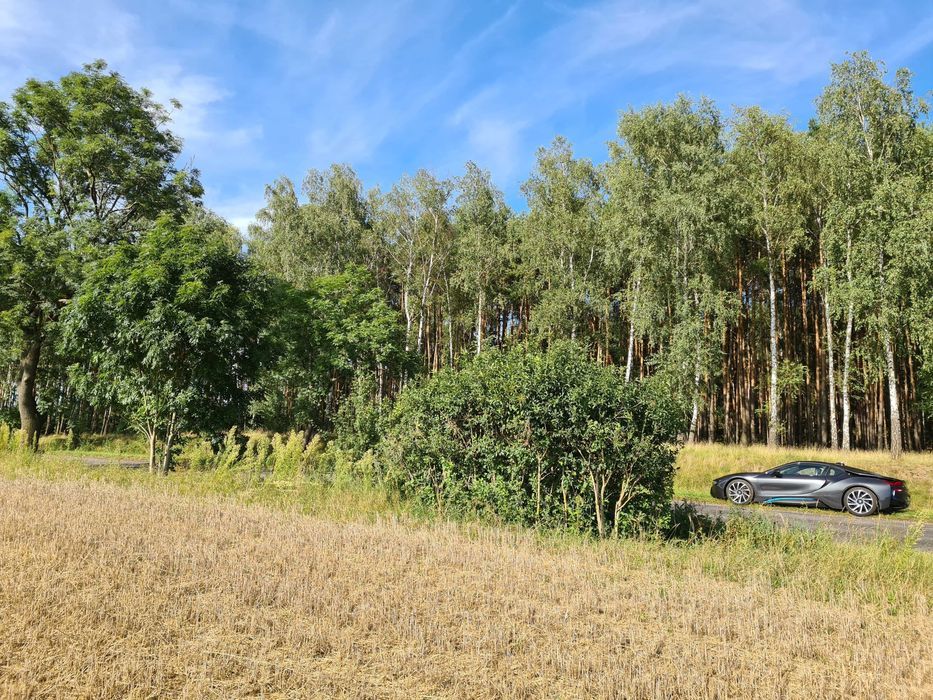 Działka Słowikowo. Zdjęcie 8