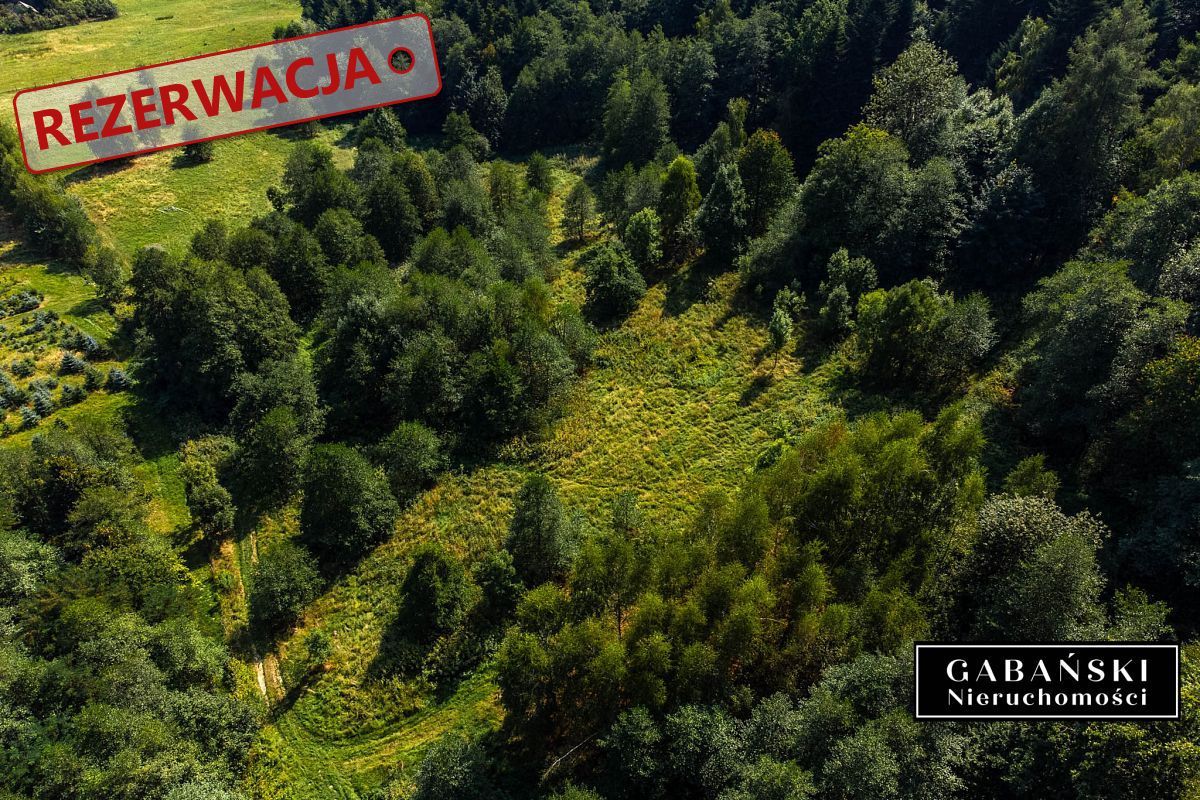 Działka budowlana Słona. Zdjęcie 11