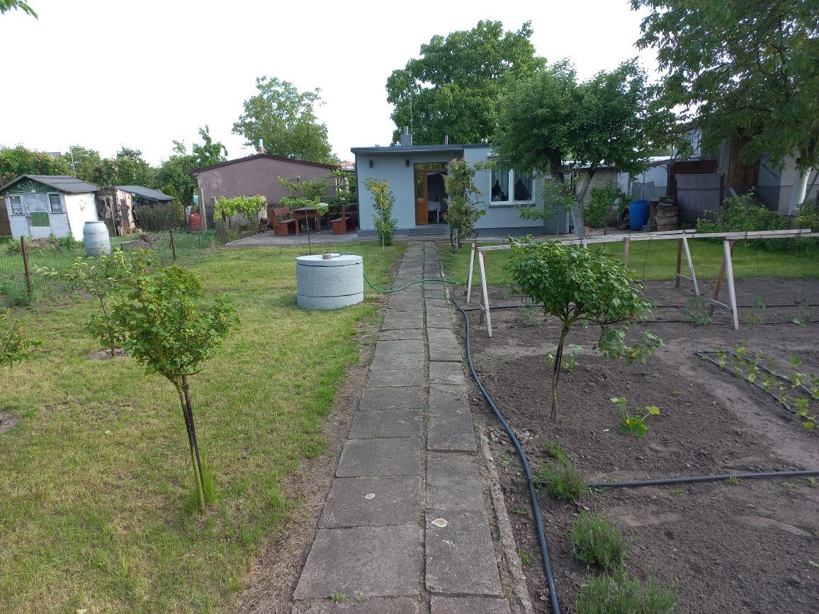 Działka rod Pleszew, ul. Wierzbowa