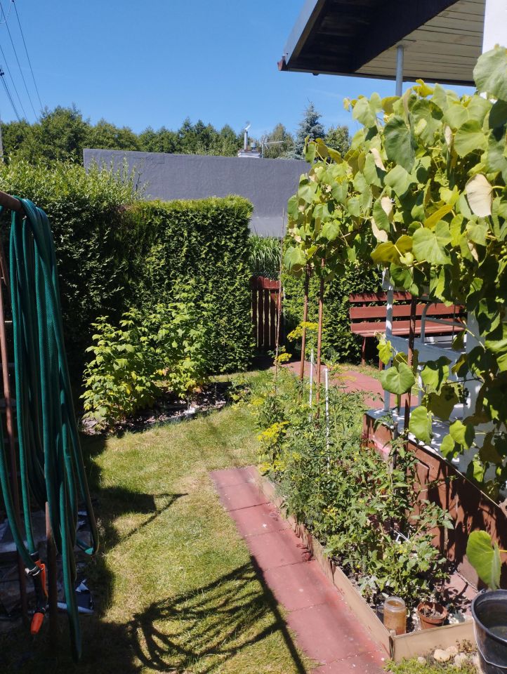 Działka rod Pawlikowice. Zdjęcie 12