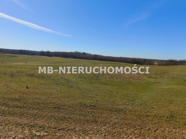 Działka rolna Parcz. Zdjęcie 9