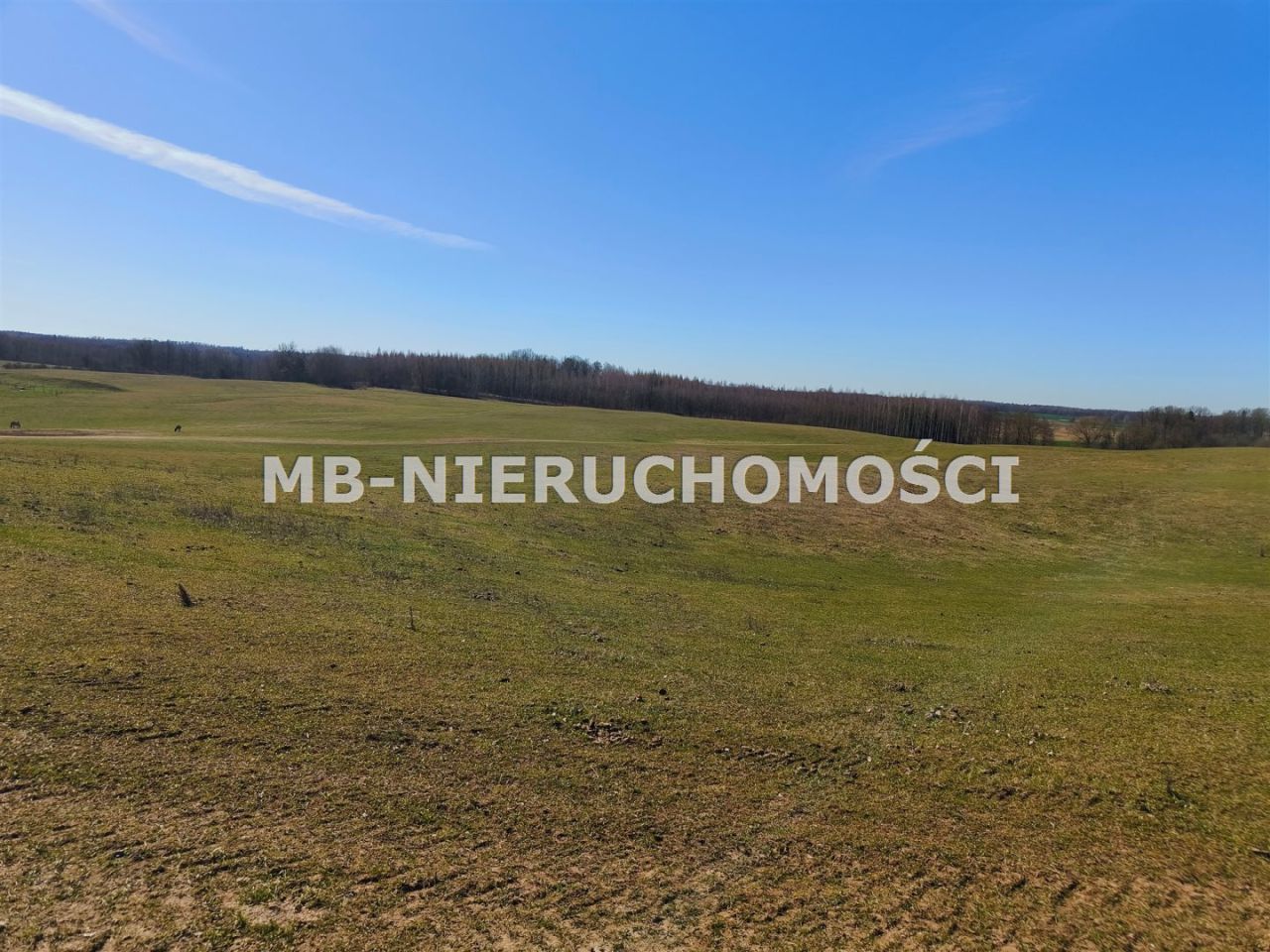 Działka rolna Parcz. Zdjęcie 9