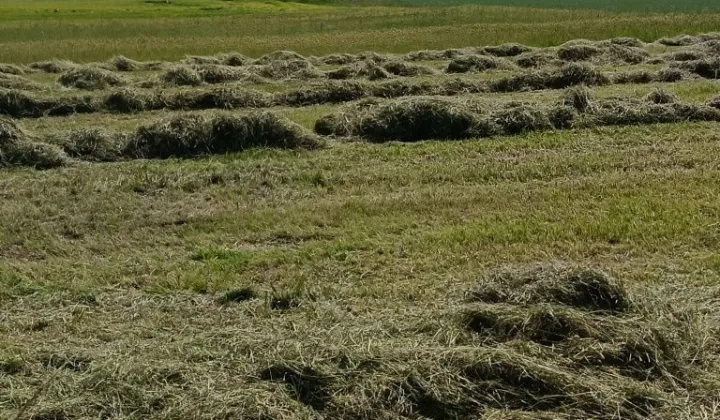 Działka budowlana Kobyla Góra