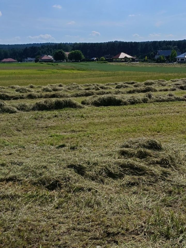 Działka budowlana Kobyla Góra. Zdjęcie 1