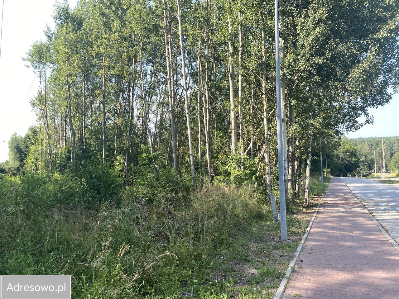 Działka rolna Zagnańsk. Zdjęcie 6