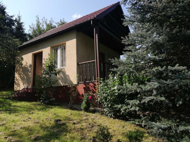 Działka rod Kraków Zwierzyniec. Zdjęcie 1