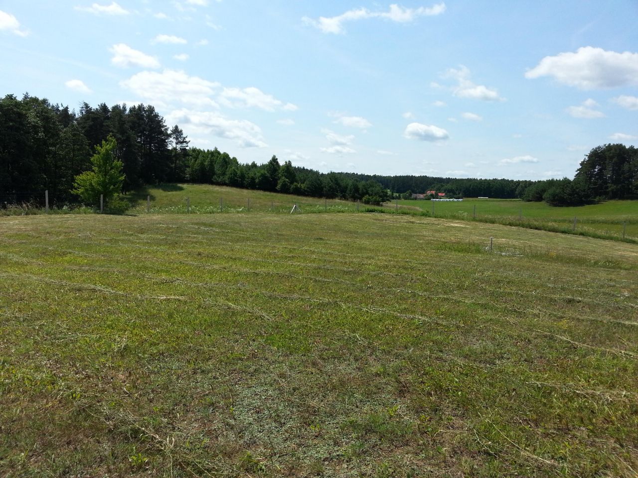 Działka rolna Prawdowo. Zdjęcie 7