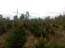 Działka rolna Sromutka. Zdjęcie 1