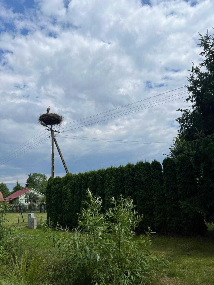 Działka rekreacyjna Sumin. Zdjęcie 4