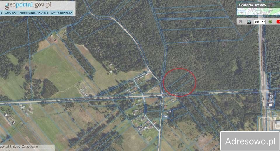 Działka leśna Planta. Zdjęcie 2