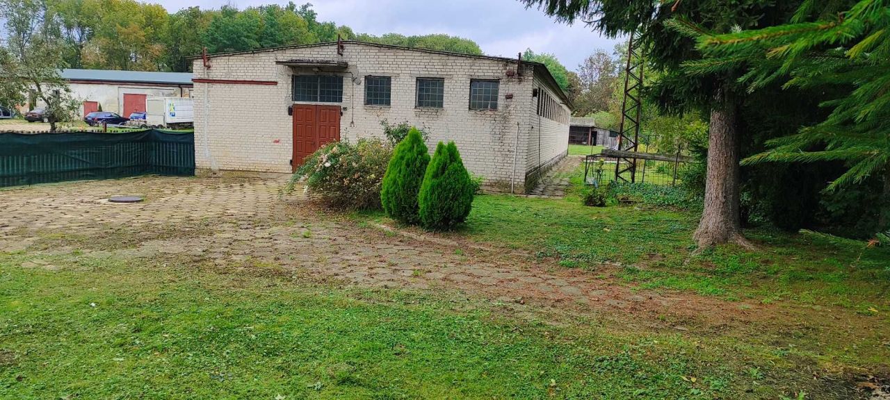 Hala/magazyn Trzeszczany Pierwsze. Zdjęcie 4