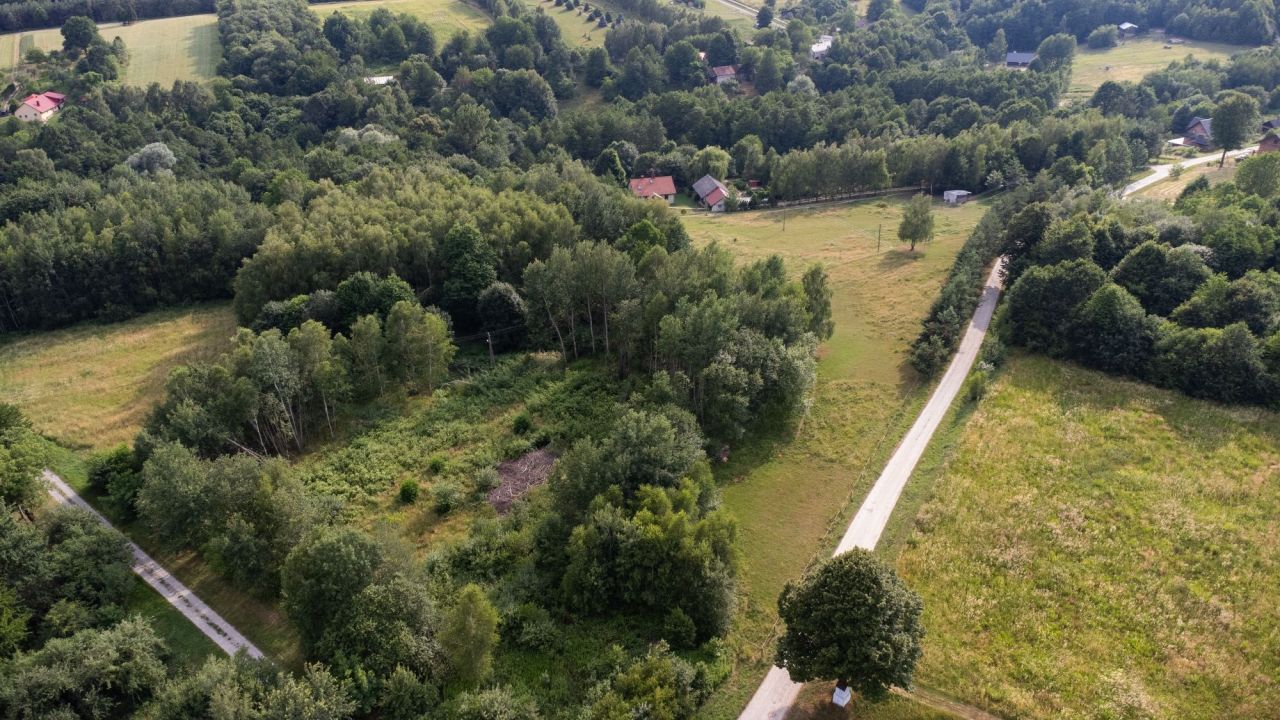 Działka rolna Nowy Borek. Zdjęcie 7