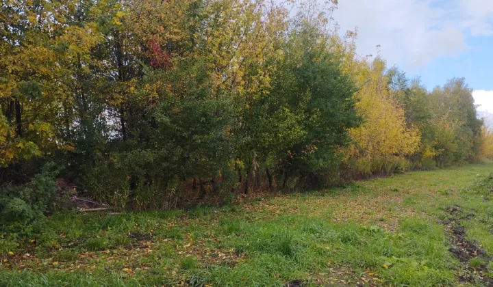 Działka budowlana Zgorzała