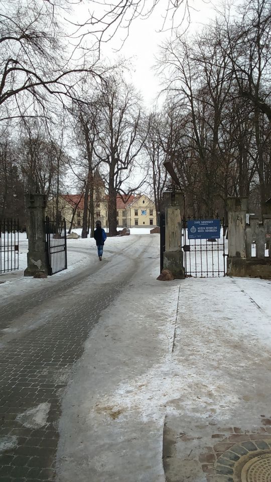 Działka inwestycyjna Tarnobrzeg, ul. Sandomierska. Zdjęcie 4