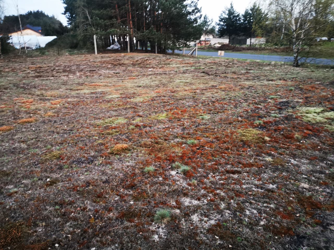 Działka rolno-budowlana Trakt Puszczański. Zdjęcie 6