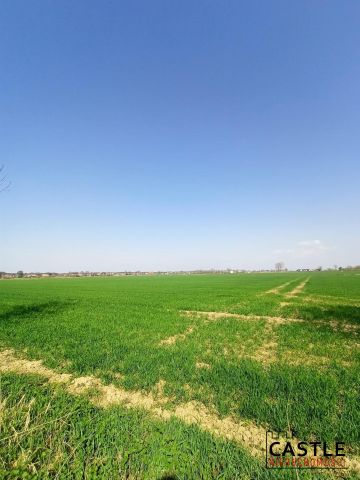 Działka budowlana Sztutowo, ul. Przemysłowa. Zdjęcie 4