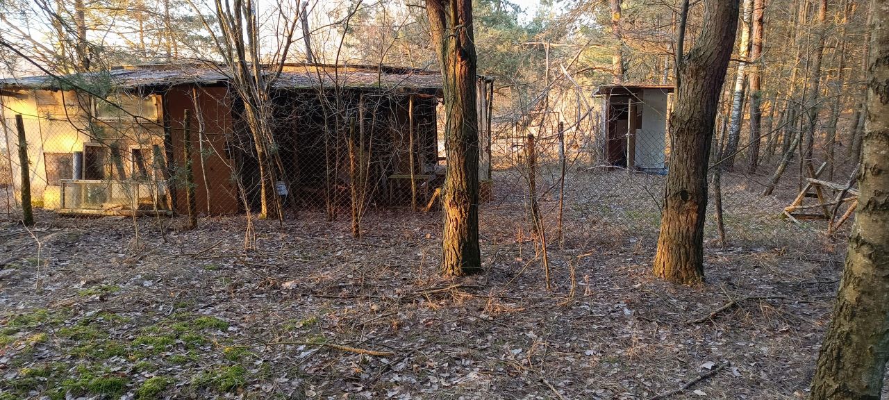 Działka rolna Stare Kościeliska, ul. Bratkowa. Zdjęcie 7