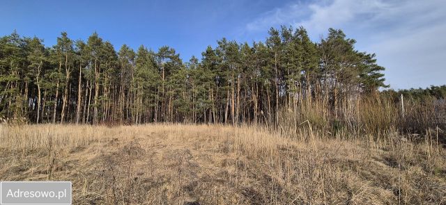 Działka budowlana Urzut. Zdjęcie 1