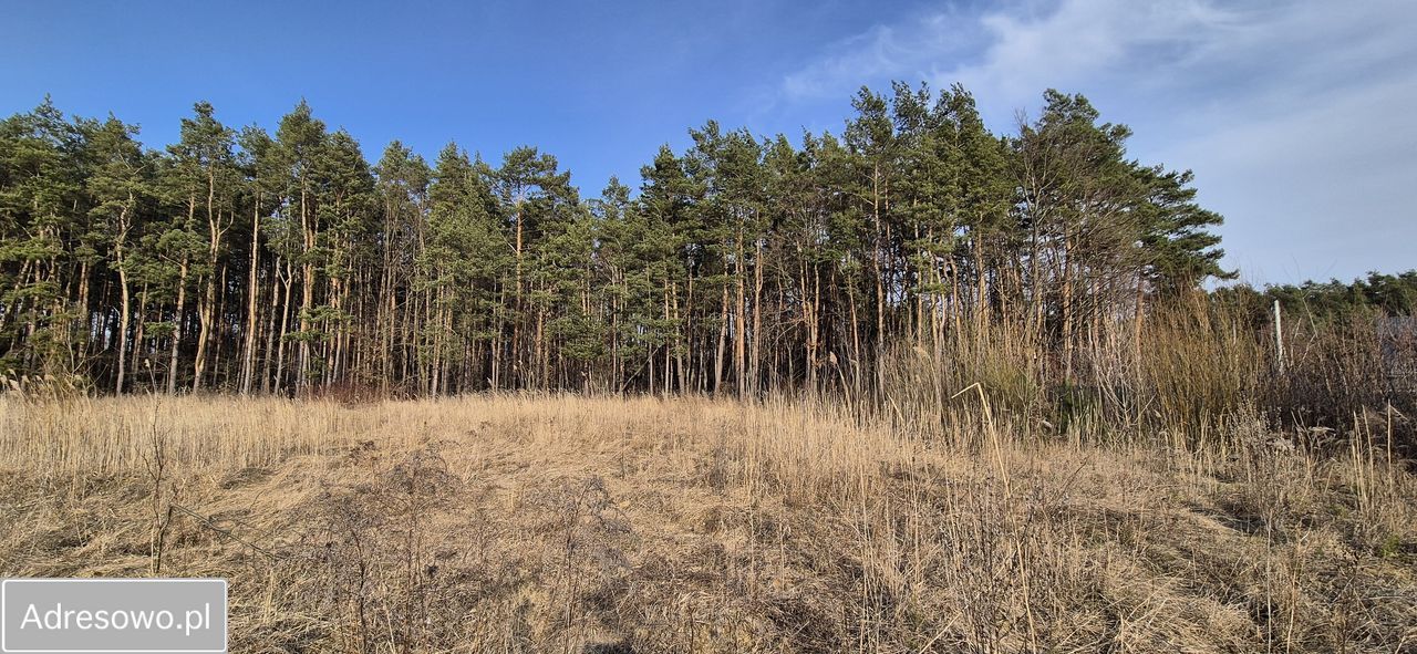 Działka budowlana Urzut. Zdjęcie 1