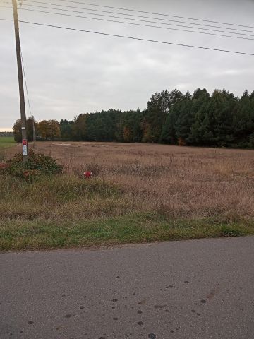 Działka rolno-budowlana Głuchów-Lasy Podwale. Zdjęcie 1