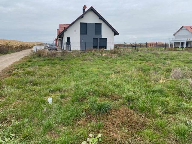 Działka budowlana Sadków. Zdjęcie 1