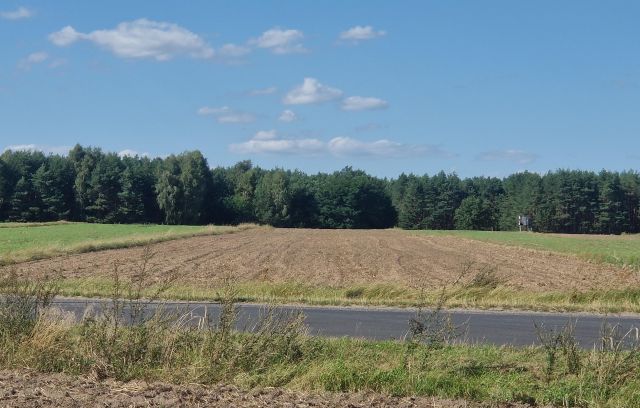 Działka rolno-budowlana Smolnik. Zdjęcie 1