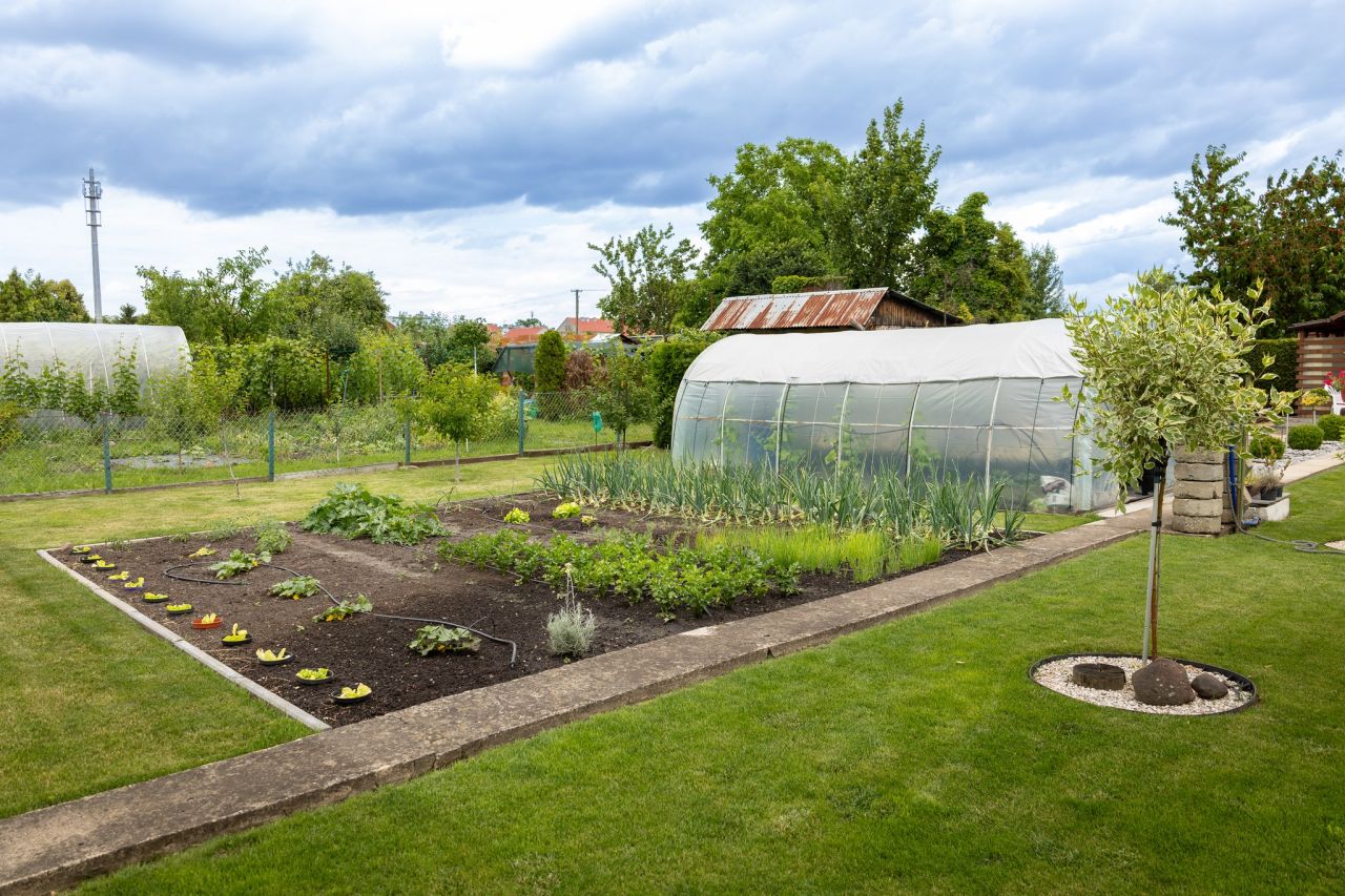 Działka rod Kluczbork, ul. Dworcowa. Zdjęcie 3