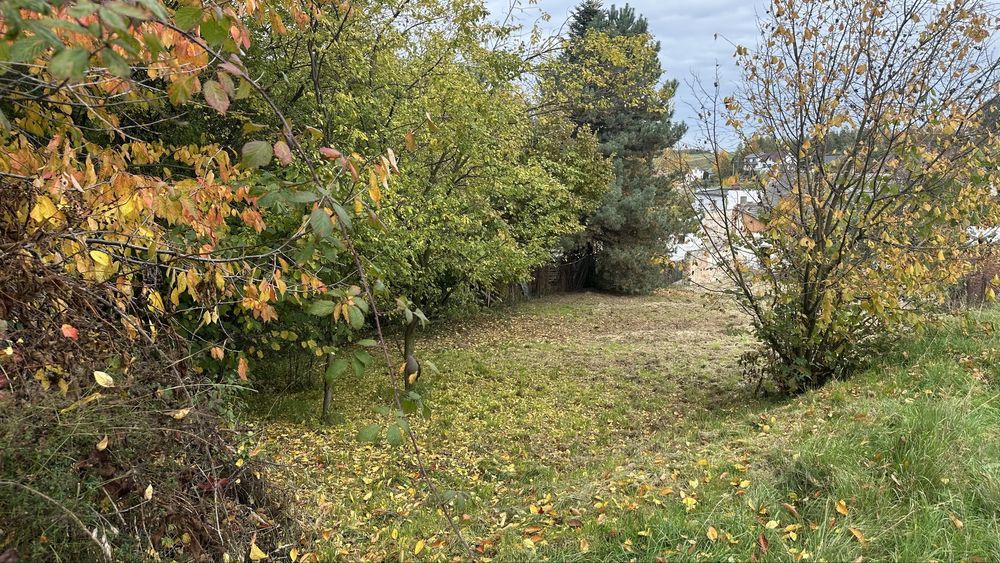 dom wolnostojący Owsiszcze, ul. Opawska. Zdjęcie 7