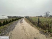 Działka budowlana Płoskie. Zdjęcie 1