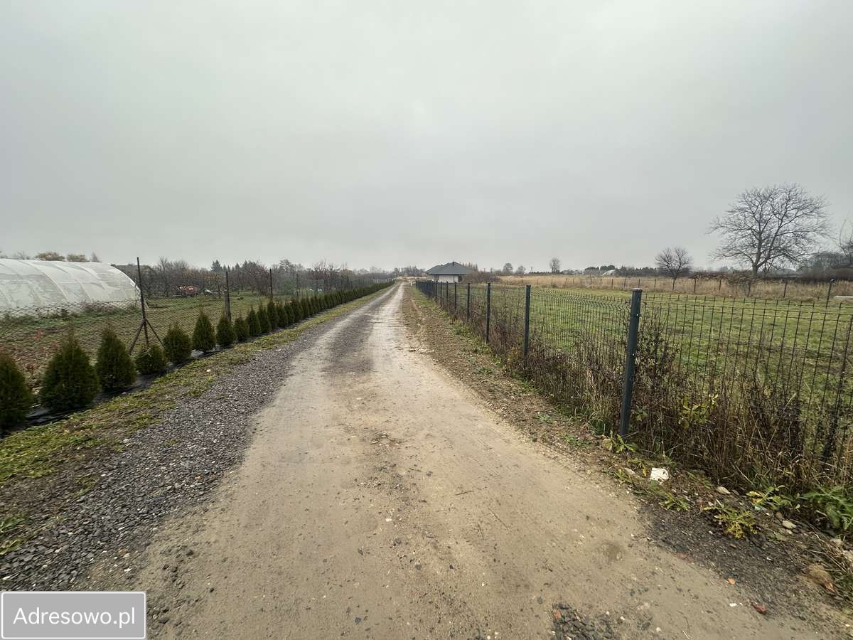 Działka budowlana Płoskie. Zdjęcie 2