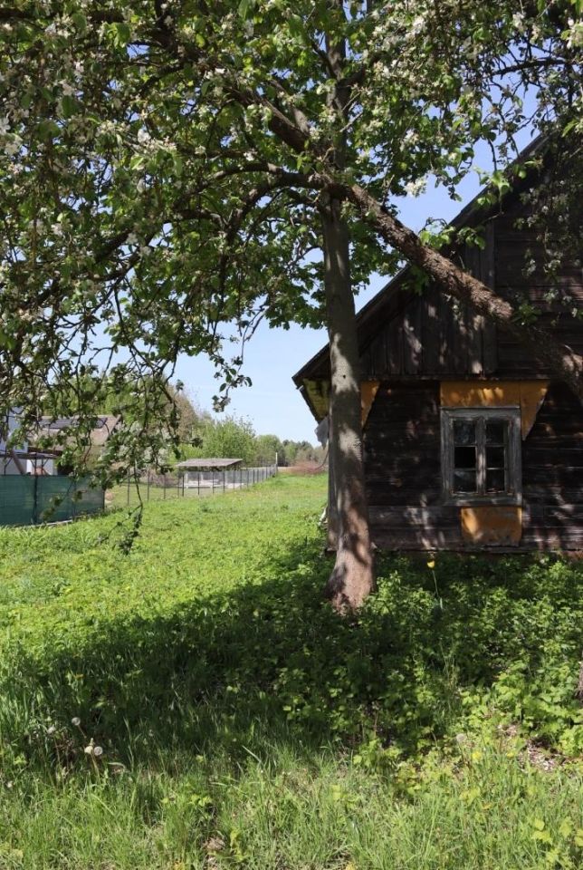 Działka rolno-budowlana Kłyzówka. Zdjęcie 9