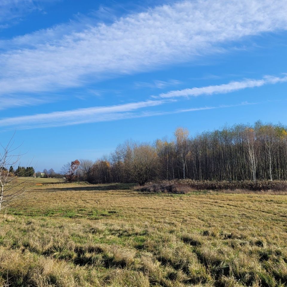 Działka budowlana Jodłówka Tuchowska. Zdjęcie 6