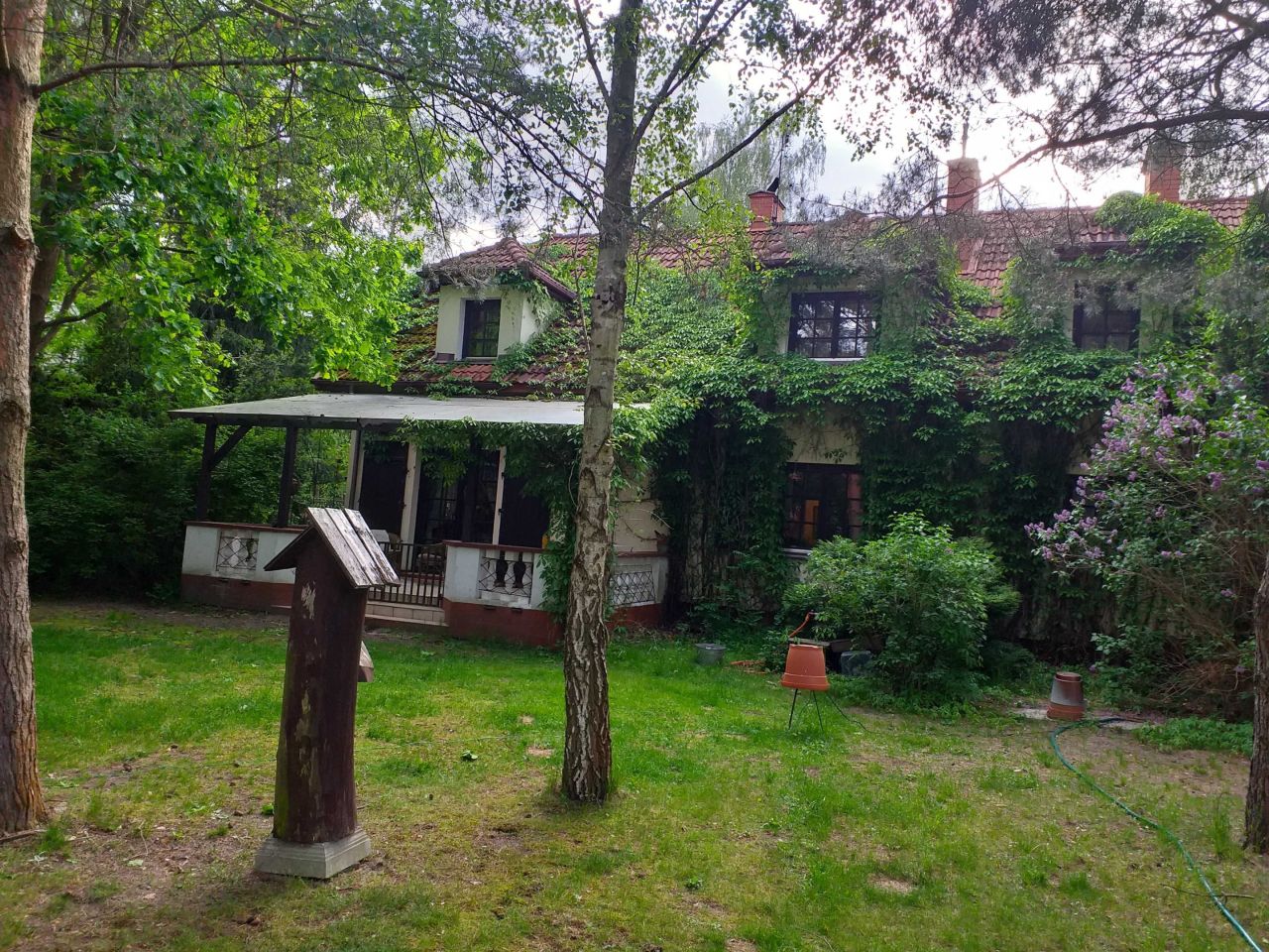 siedlisko Runów. Zdjęcie 8