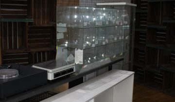 Lokal Ujazd, pl. Wolności