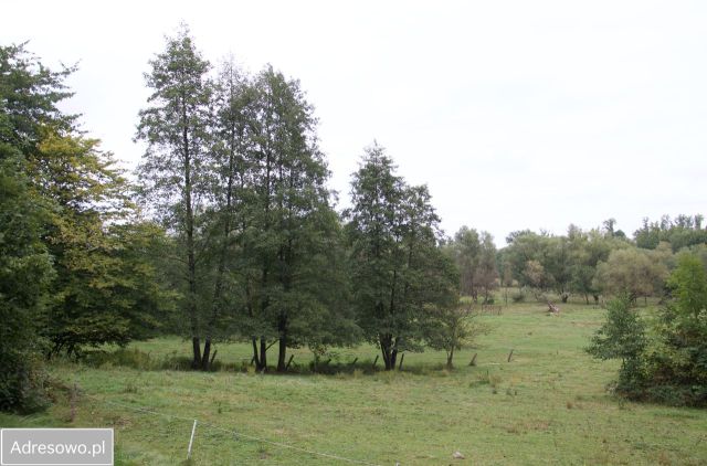 Działka budowlana Bujaków. Zdjęcie 1