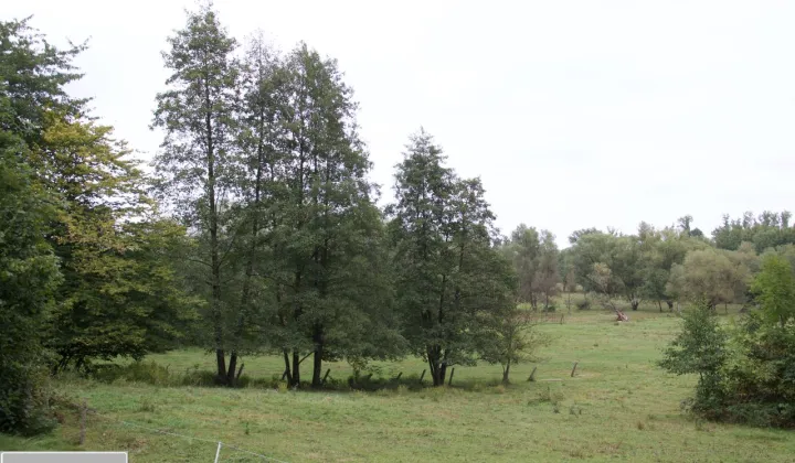 Działka budowlana Bujaków