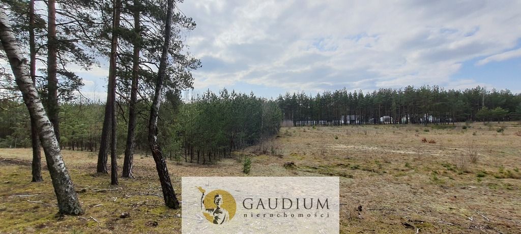 Działka budowlana Czersk, ul. Tucholska. Zdjęcie 5