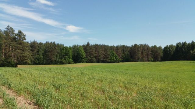 Działka rekreacyjna Karolin. Zdjęcie 1