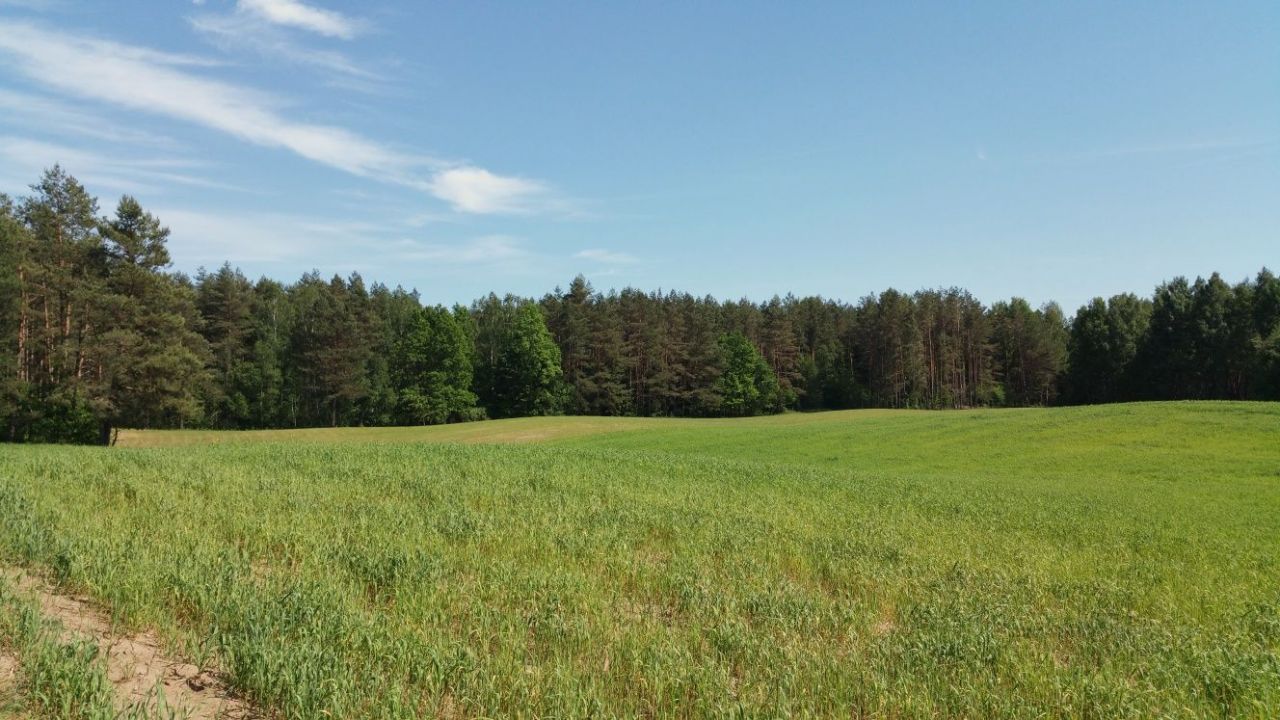 Działka rekreacyjna Karolin