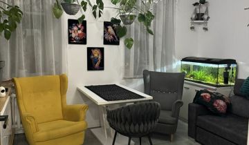 Mieszkanie 2-pokojowe Lewin Brzeski, rynek Rynek