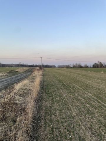 Działka rolna Golędzin. Zdjęcie 1